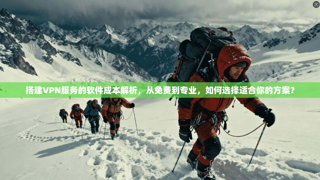 搭建VPN服务的软件成本解析，从免费到专业，如何选择适合你的方案？