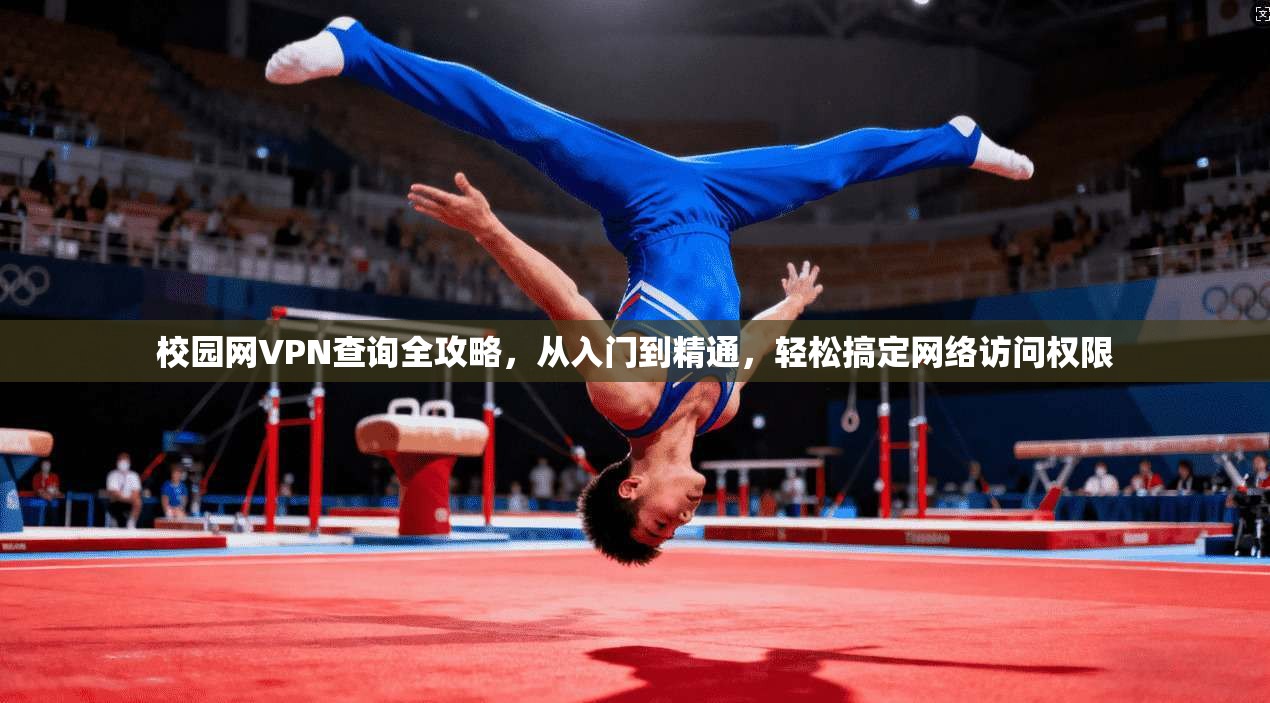 校园网VPN查询全攻略，从入门到精通，轻松搞定网络访问权限