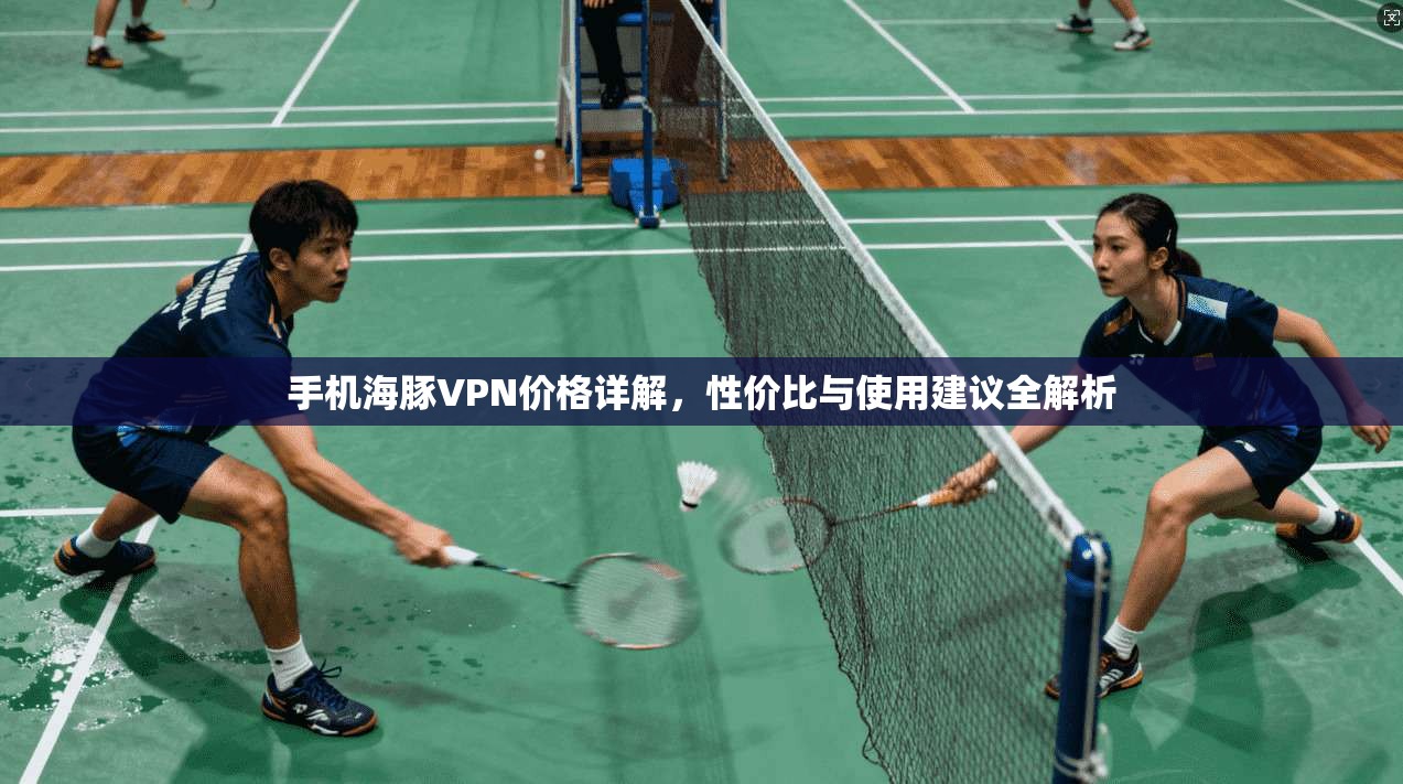 手机海豚VPN价格详解,性价比与使用建议全解析 手机海豚VPN价格详解,性价比与使用建议全解析
