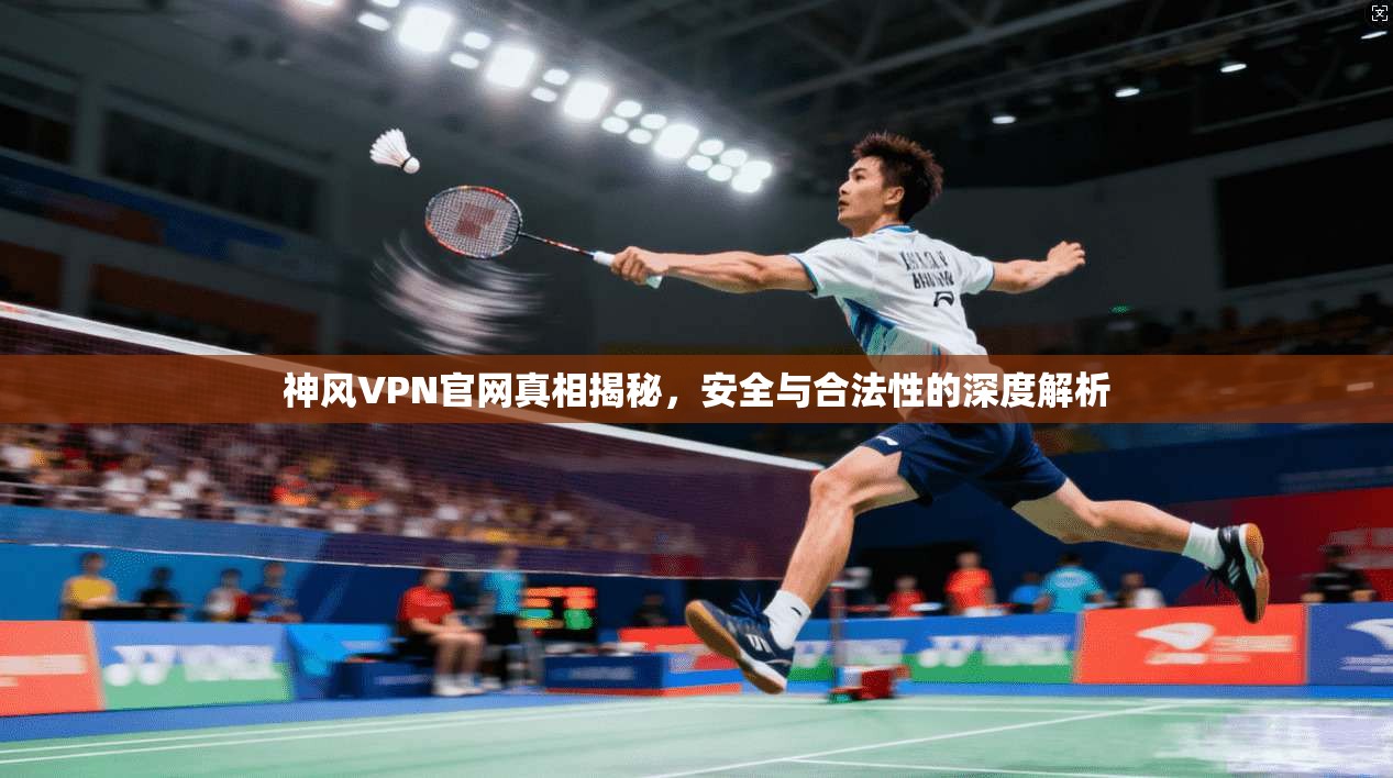 神风VPN官网真相揭秘，安全与合法性的深度解析