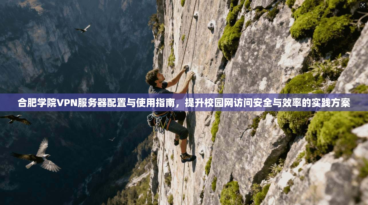 合肥学院VPN服务器配置与使用指南,提升校园网访问安全与效率的实践方案 合肥学院VPN服务器配置与使用指南,提升校园网访问安全与效率的实践方案