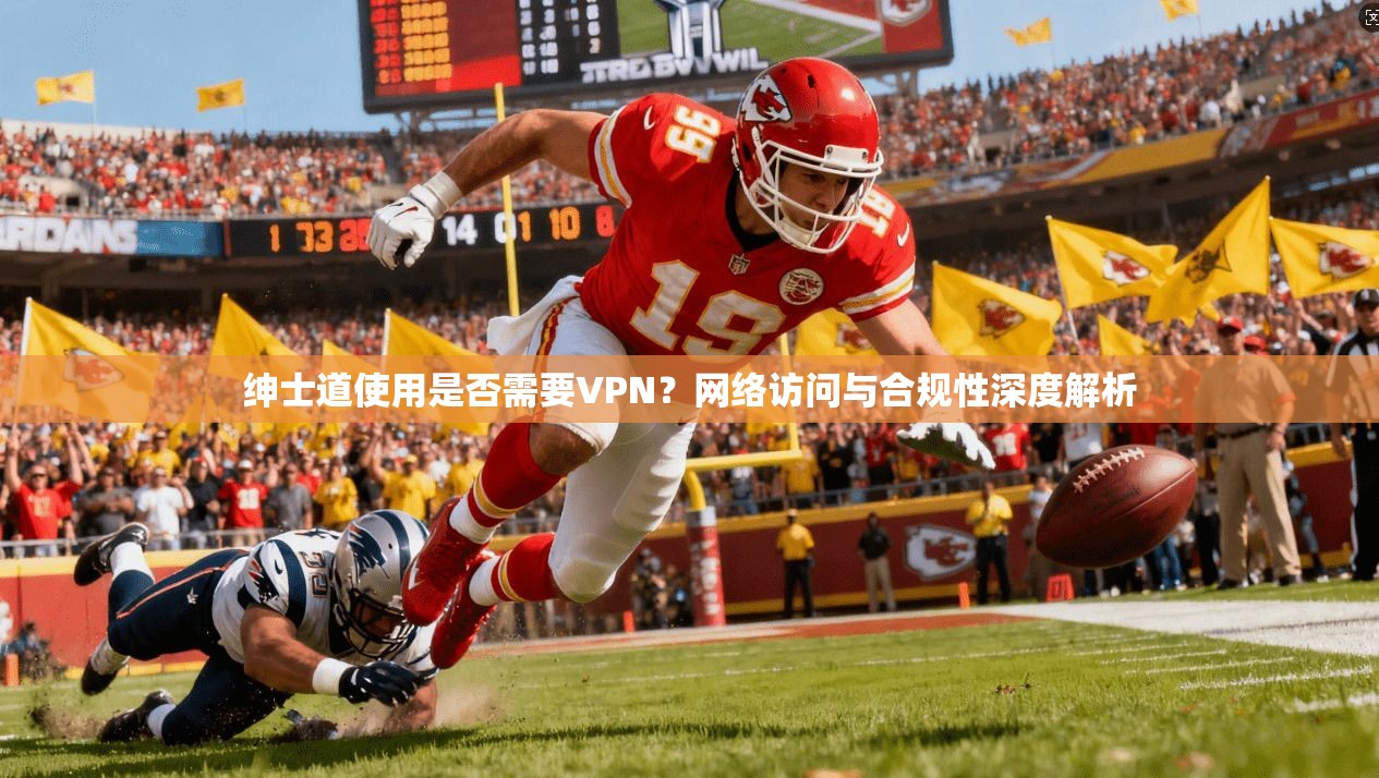绅士道使用是否需要VPN？网络访问与合规性深度解析
