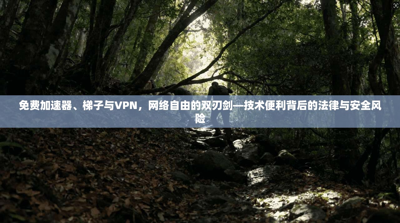 免费加速器、梯子与VPN，网络自由的双刃剑—技术便利背后的法律与安全风险