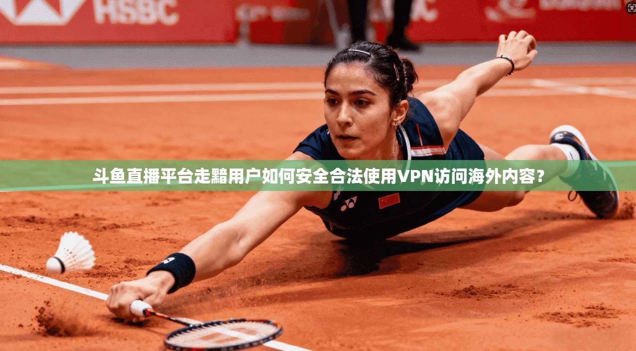 斗鱼直播平台走黯用户如何安全合法使用VPN访问海外内容？