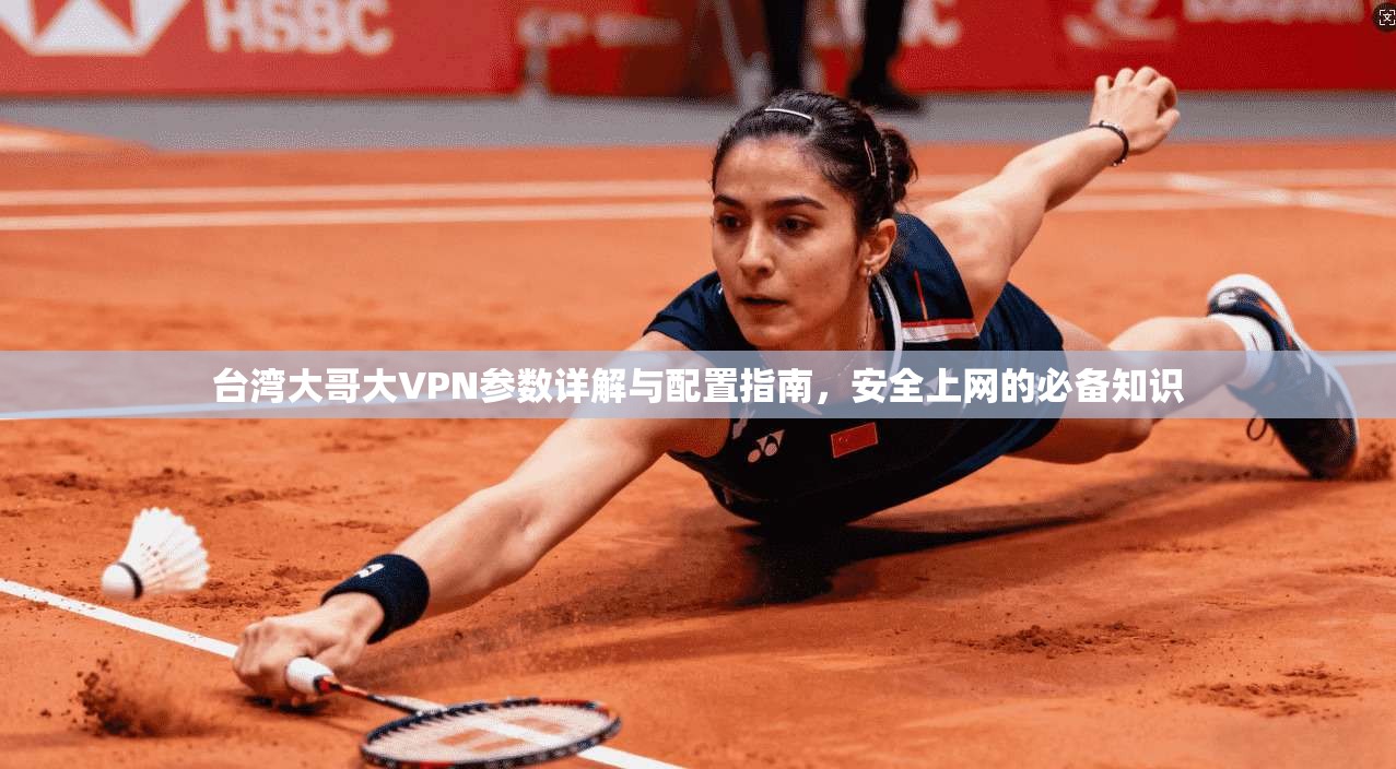 台湾大哥大VPN参数详解与配置指南，安全上网的必备知识