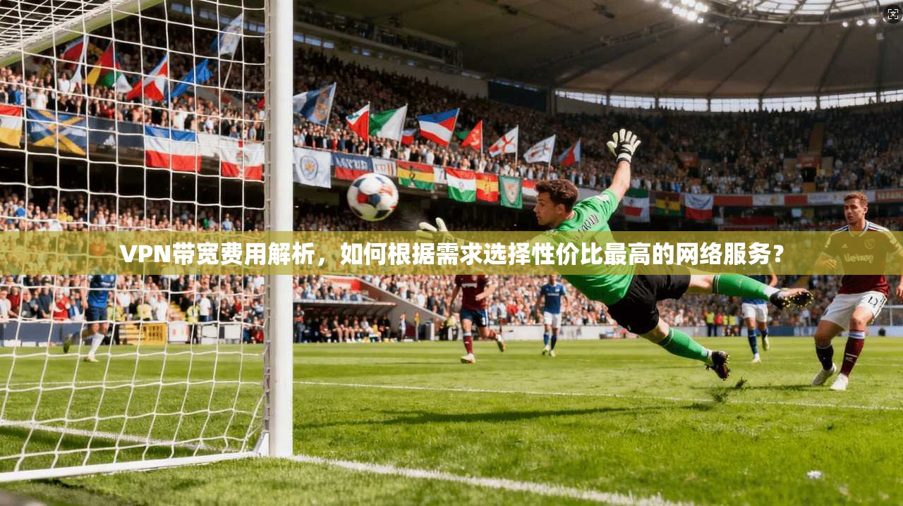 VPN带宽费用解析，如何根据需求选择性价比最高的网络服务？