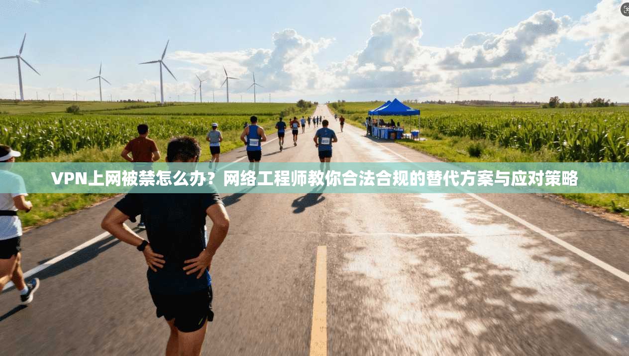 VPN上网被禁怎么办？网络工程师教你合法合规的替代方案与应对策略
