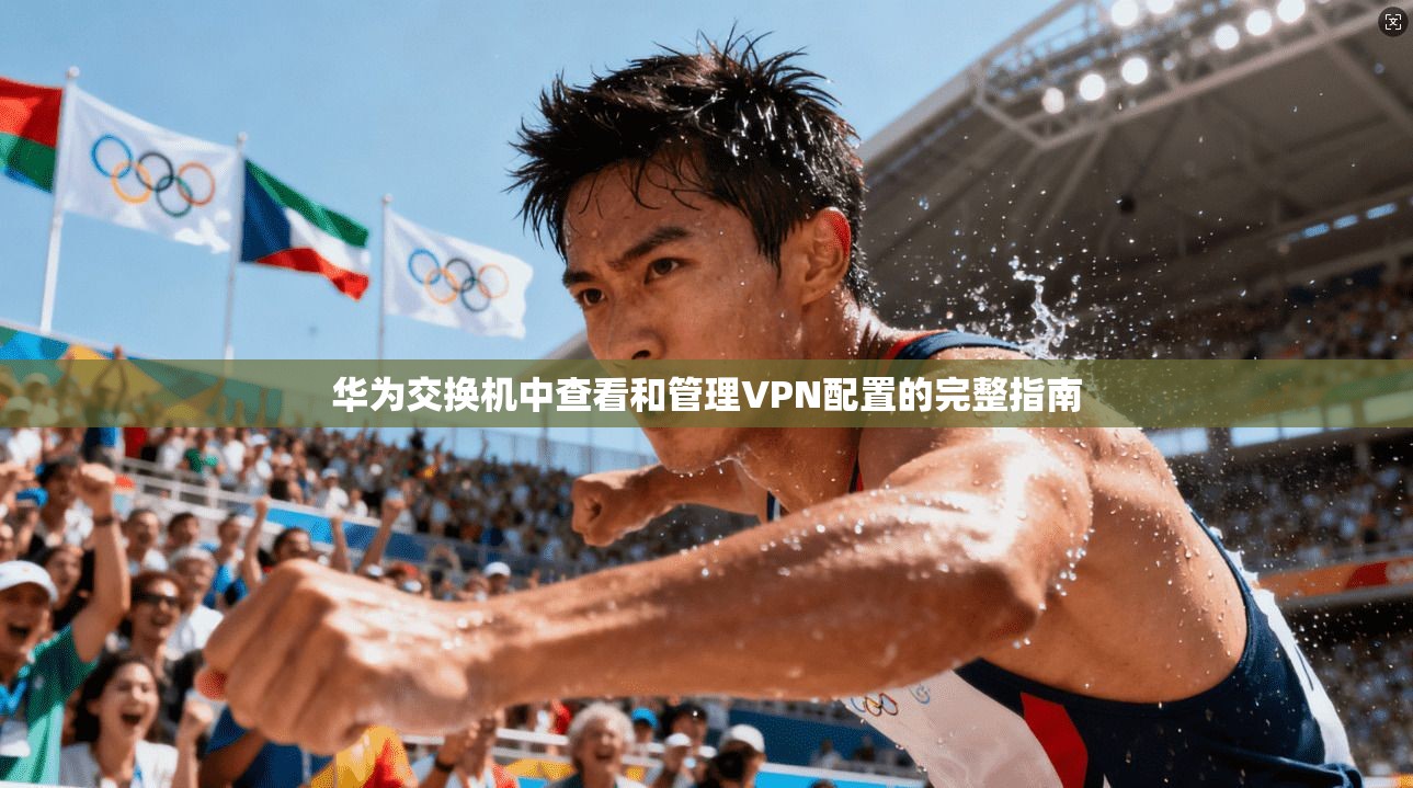 华为交换机中查看和管理VPN配置的完整指南