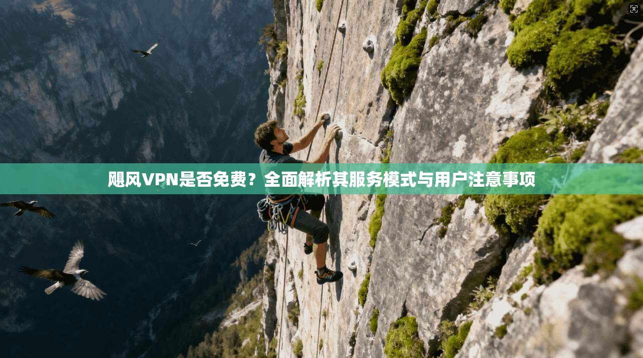 飓风VPN是否免费？全面解析其服务模式与用户注意事项