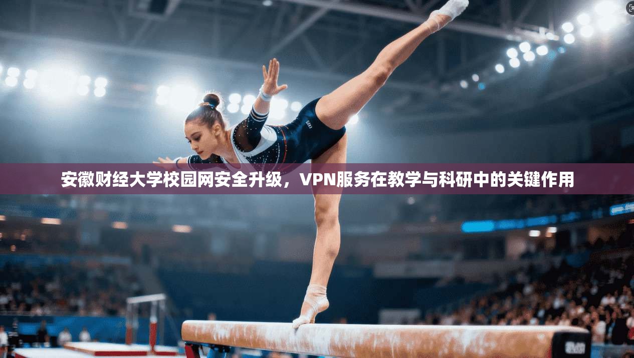 安徽财经大学校园网安全升级，VPN服务在教学与科研中的关键作用