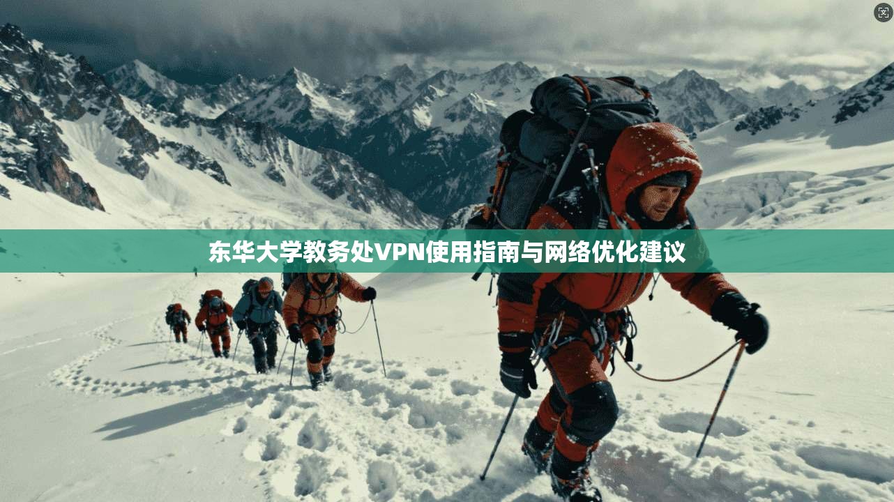 东华大学教务处VPN使用指南与网络优化建议