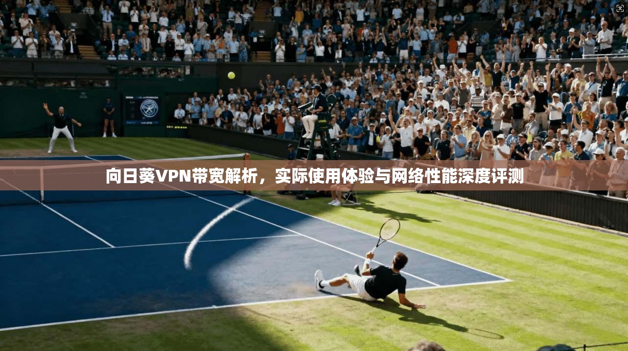 向日葵VPN带宽解析，实际使用体验与网络性能深度评测