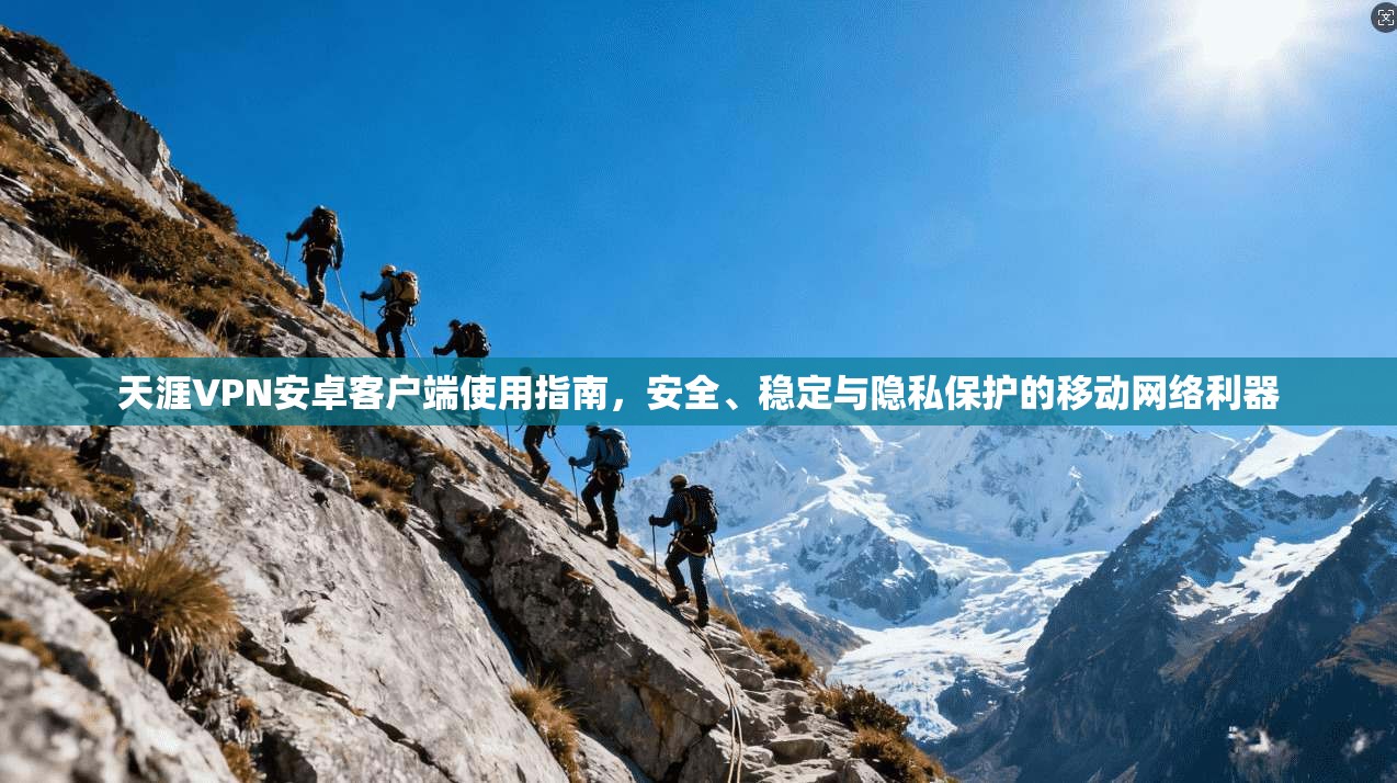 天涯VPN安卓客户端使用指南，安全、稳定与隐私保护的移动网络利器