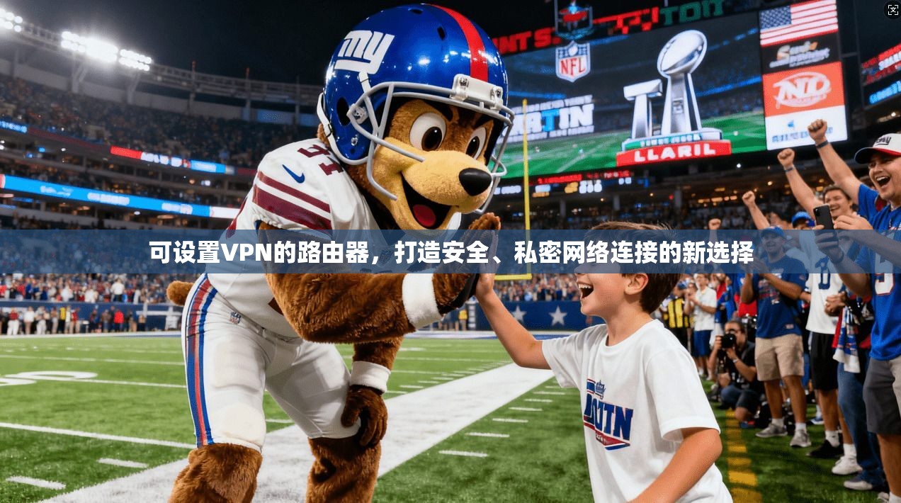 可设置VPN的路由器，打造安全、私密网络连接的新选择