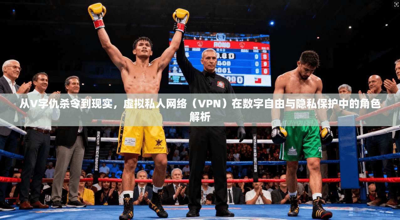 从V字仇杀令到现实，虚拟私人网络（VPN）在数字自由与隐私保护中的角色解析