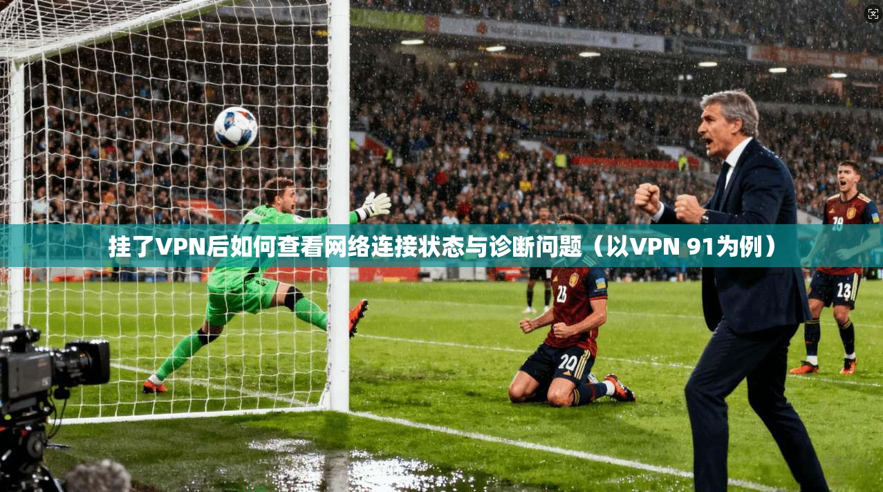 挂了VPN后如何查看网络连接状态与诊断问题（以VPN 91为例）