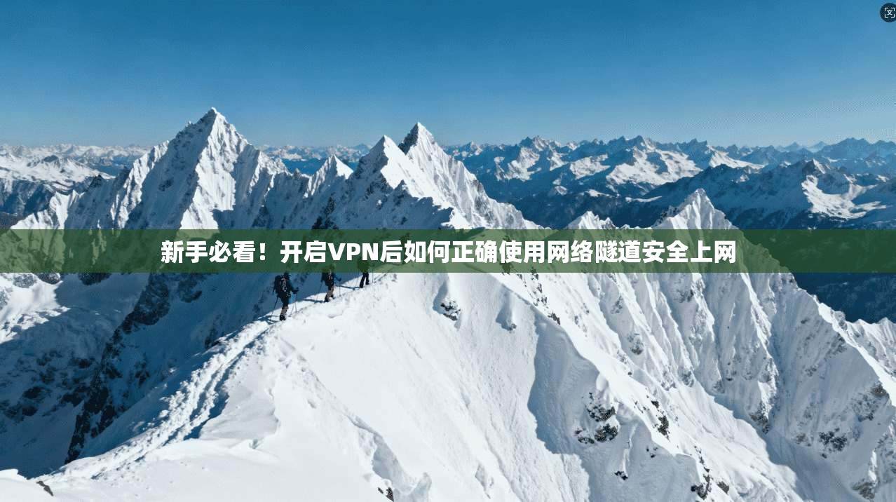 新手必看！开启VPN后如何正确使用网络隧道安全上网