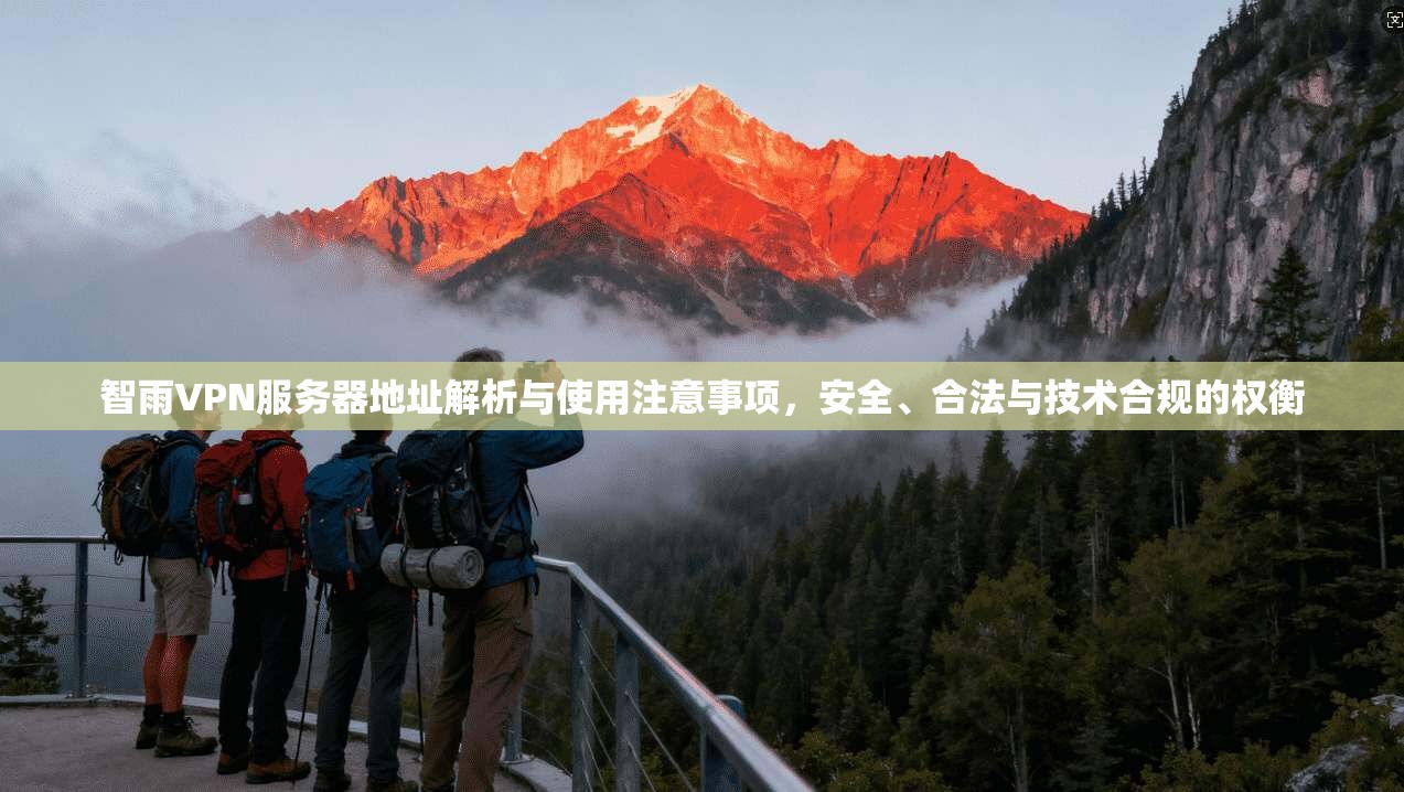 智雨VPN服务器地址解析与使用注意事项，安全、合法与技术合规的权衡