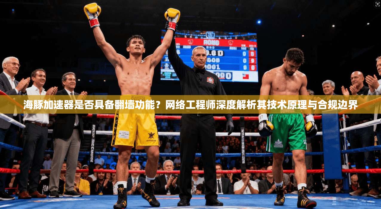 海豚加速器是否具备翻墙功能？网络工程师深度解析其技术原理与合规边界