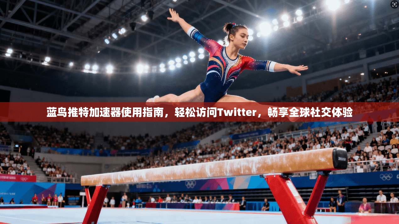 蓝鸟推特加速器使用指南，轻松访问Twitter，畅享全球社交体验