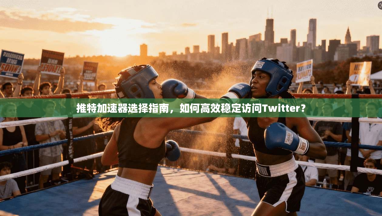 推特加速器选择指南，如何高效稳定访问Twitter？