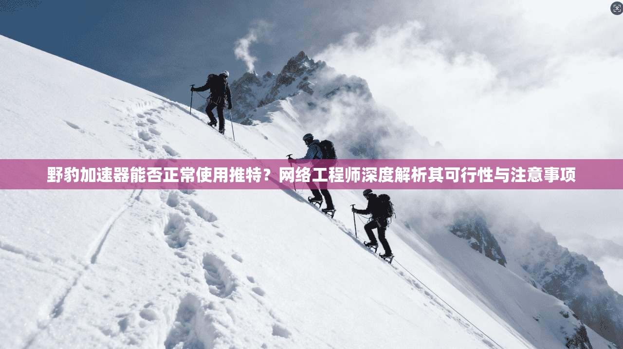 野豹加速器能否正常使用推特？网络工程师深度解析其可行性与注意事项