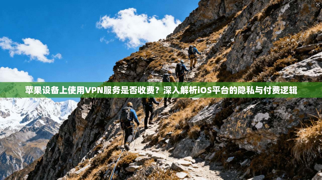 苹果设备上使用VPN服务是否收费？深入解析iOS平台的隐私与付费逻辑