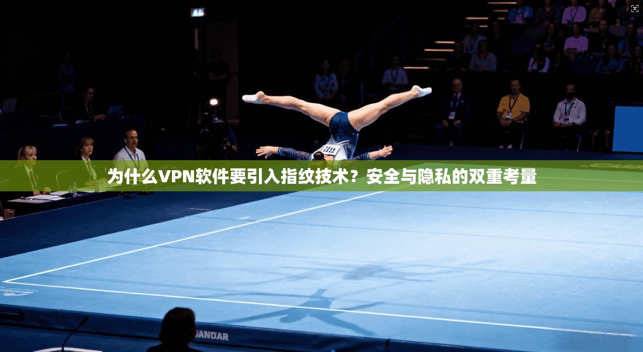 为什么VPN软件要引入指纹技术？安全与隐私的双重考量